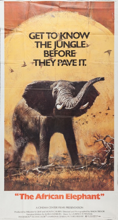The African Elephant